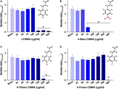 Inhibition of growth, biofilm formation, virulence, and surface attachment of Agrobacterium tumefaciens by cinnamaldehyde derivatives